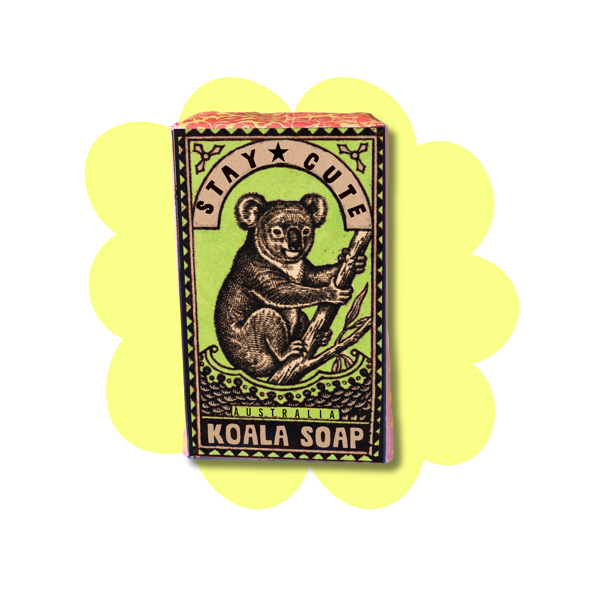 desert star koala