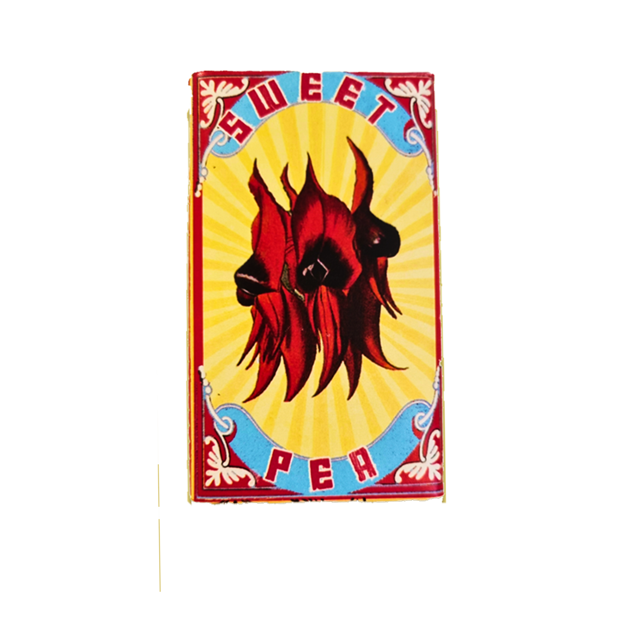 Australia Sturt Desert Pea gift present desert star